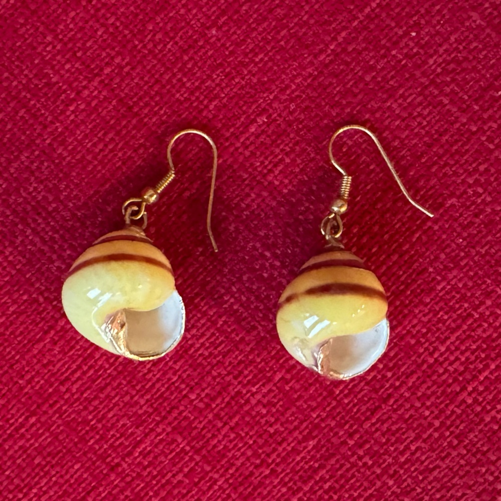 Seashell earrings
